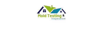 Mold Testing and Inspection